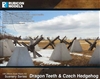 Rubicon - Dragon Teeth & Czech Hedgehog