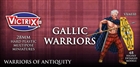 Victrix Miniatures - Ancient Gallic Warriors