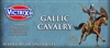 Victrix Miniatures - Ancient Gallic Cavalry