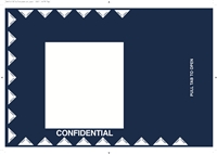 Plastic Premium Security Payroll Delivery Envelope (4030)