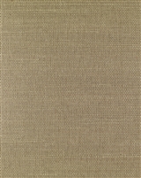 Classic Taupe Sisal Grasscloth Page 15