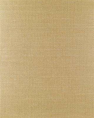 Golden Straw Sisal Grasscloth Page 32