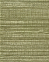 Sage Green Natural Sisal Grasscloth