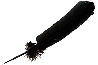 Wholesale Turkey Dyed Black Feather 11-13"L