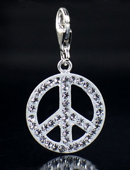 Sterling Silver Piece Charm