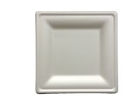 Dinner Plate, Square, 10" - 250/Cs (2 X 125)