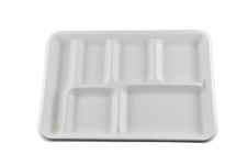 Compostable 6 Compartment Tray - 250/Cs (2 X 125)