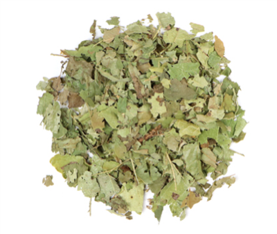 Witch Hazel Leaf, Organic (Bulk)