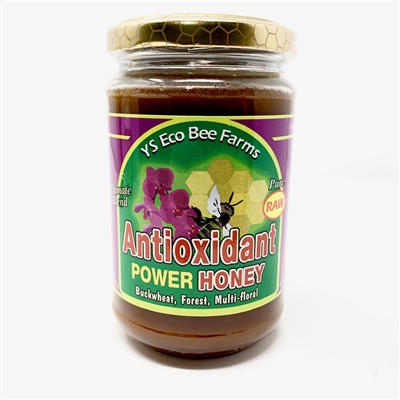 Y.S. Eco Bee Farms Antioxidant Honey, 13.5oz