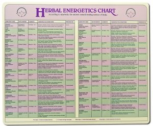 Ayurvedic Herbal Energetics Laminated Chart 9" x 12"