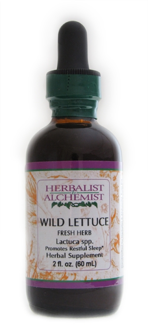 Wild Lettuce: Dropper Bottle / Organic Alcohol Extract: 2 Fluid Ounces