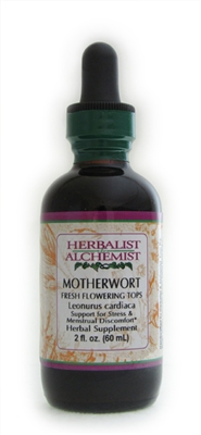 Motherwort: Dropper Bottle / Organic Alcohol Extract: 1 Fluid Ounce