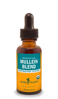 Mullein Blend: Dropper Bottle: 1 Fluid Ounce