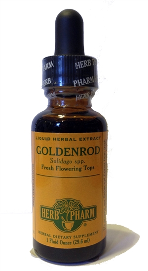 Goldenrod: Dropper Bottle / Organic Alcoholic Extract: 1 Fluid Ounce