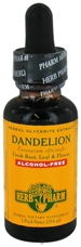 Dandelion Glycerite: Dropper Bottle / Organic Non-Alcoholic Extract: 1 Fluid Ounce