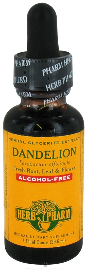 Dandelion Glycerite: Dropper Bottle / Organic Non-Alcoholic Extract: 1 Fluid Ounce