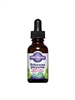 Echinacea Purpurea: 1oz Dropper Bottle