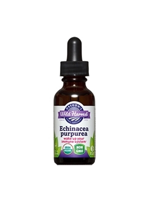 Echinacea Purpurea: 1oz Dropper Bottle