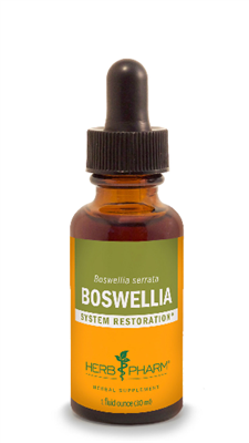 Boswellia: Dropper Bottle / Liquid: 1 Fluid Ounce