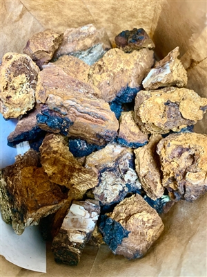 Chaga Chunks, Wildcrafted (Bulk)