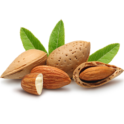 Almond Oil: Bottle / Liquid Oil: 8 Fluid Ounces