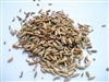 Fennel, Whole, Organic (Bulk)