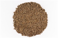 Cumin, Whole, Organic (Bulk)