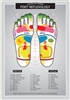 Foot Reflexology Chart