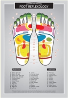 Foot Reflexology Chart