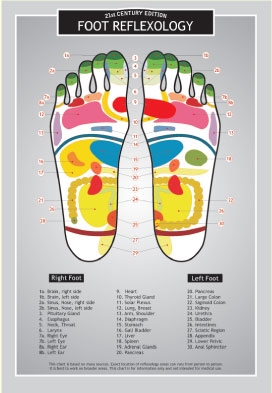 Foot Reflexology Chart