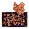 Aragonite: Raw, Small