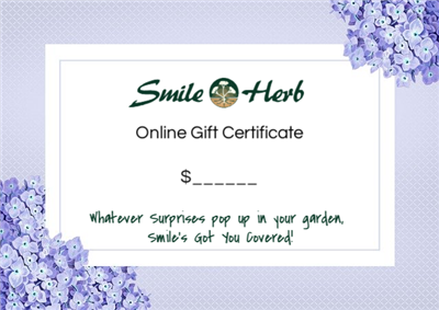 Gift Certificate