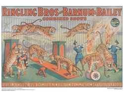 Ringling African Jungle Circus Poster