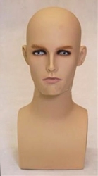 Eric Realistic Male Display Head