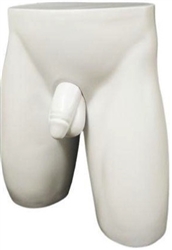 Anatomically Correct Full Size White Male Torso Butt Form