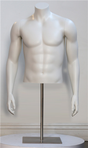 High End Headless Male Torso - Straight Arms - 6 Colors