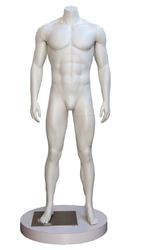 High End Toned Headless Male Mannequin - 6 Colors