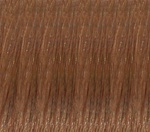 Hair Extension Sample Number 12 Light Golden Brown