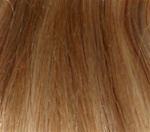 Hair Extension Sample Honey Blond-Platinum Blond mix
