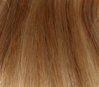 Hair Extension Sample Honey Blond-Platinum Blond mix