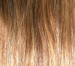 Hair Extension Sample Chestnut Brown-Honey Blond MIX