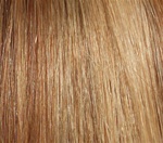 Hair Extension Sample Medium Ash Brown-Pale Golden Blond MIX