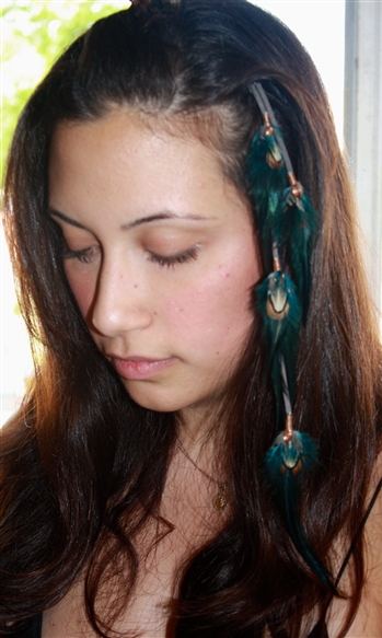 Feather Extensions (clips)