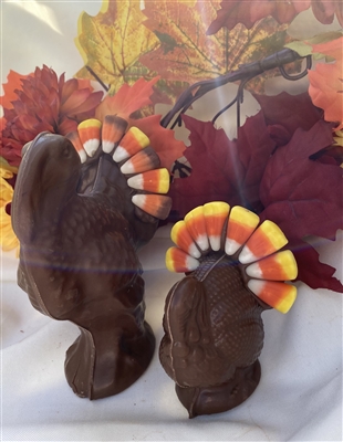 Chocolate Turkey - Medium