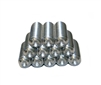 Cupped Tip Stainless Steel Set Screws for the SSRA1 Standing Seam Roof Anchor - 12 pack