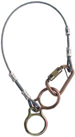 PRO Dual-Ring Tie-Off Adaptor - 6 ft. (1.8m) | 2190102