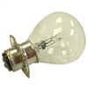 12-Volt Double Contact Light Bulb with Ring