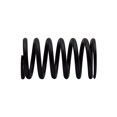 Valve Spring