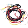 Economy Wiring Harness (Main Harness Only)