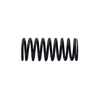 Valve Spring